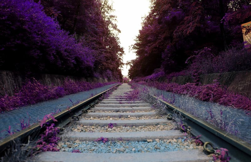 Dreamlike Sceneries